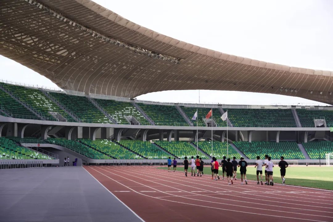 淅川体育场全新升级竣工在即市民将迎来现代化运动新地标